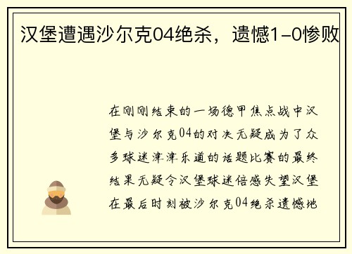 汉堡遭遇沙尔克04绝杀,遗憾1-0惨败